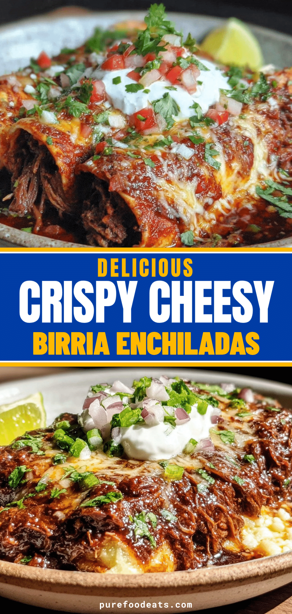 birria enchiladas recipe