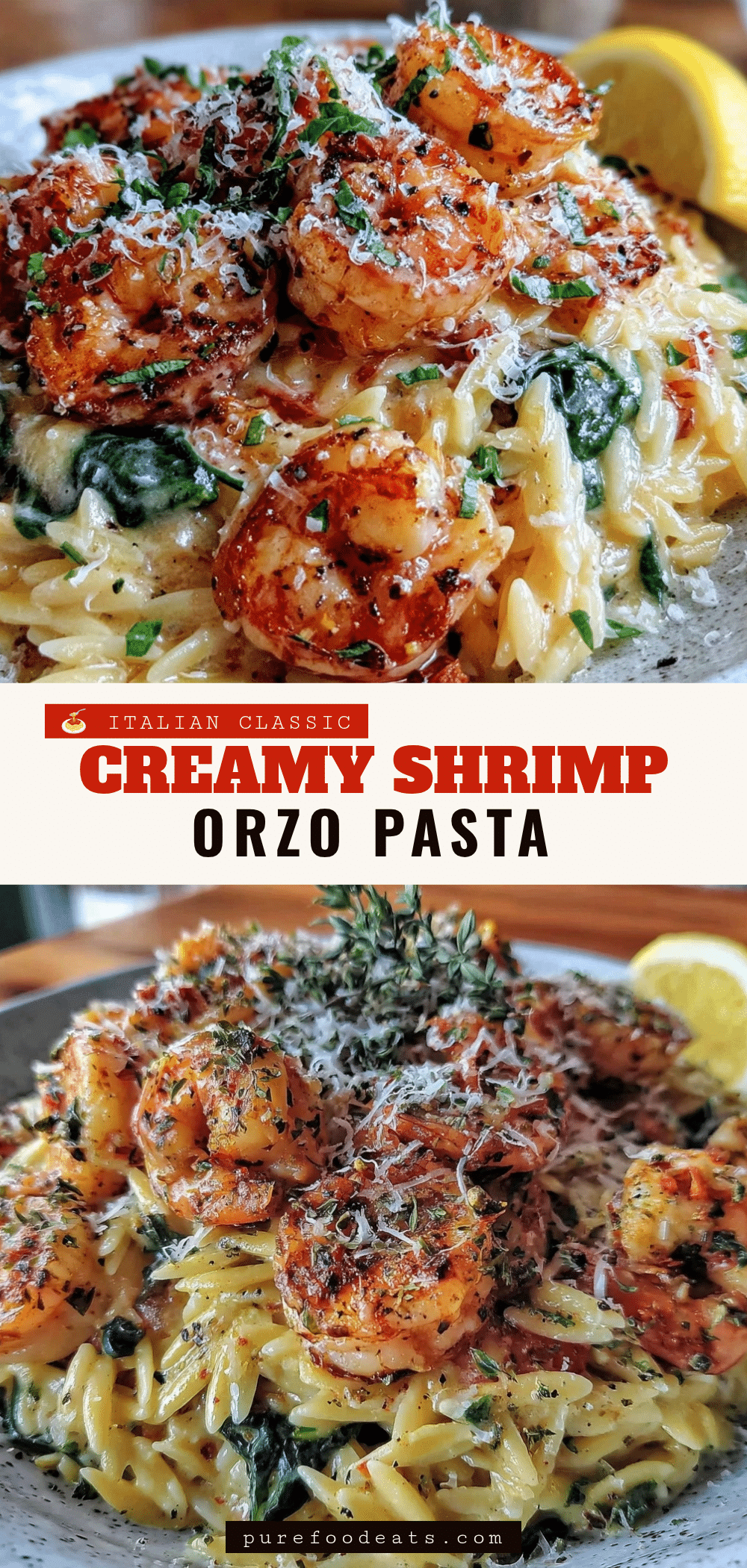 One Pot Creamy Shrimp Orzo recipe